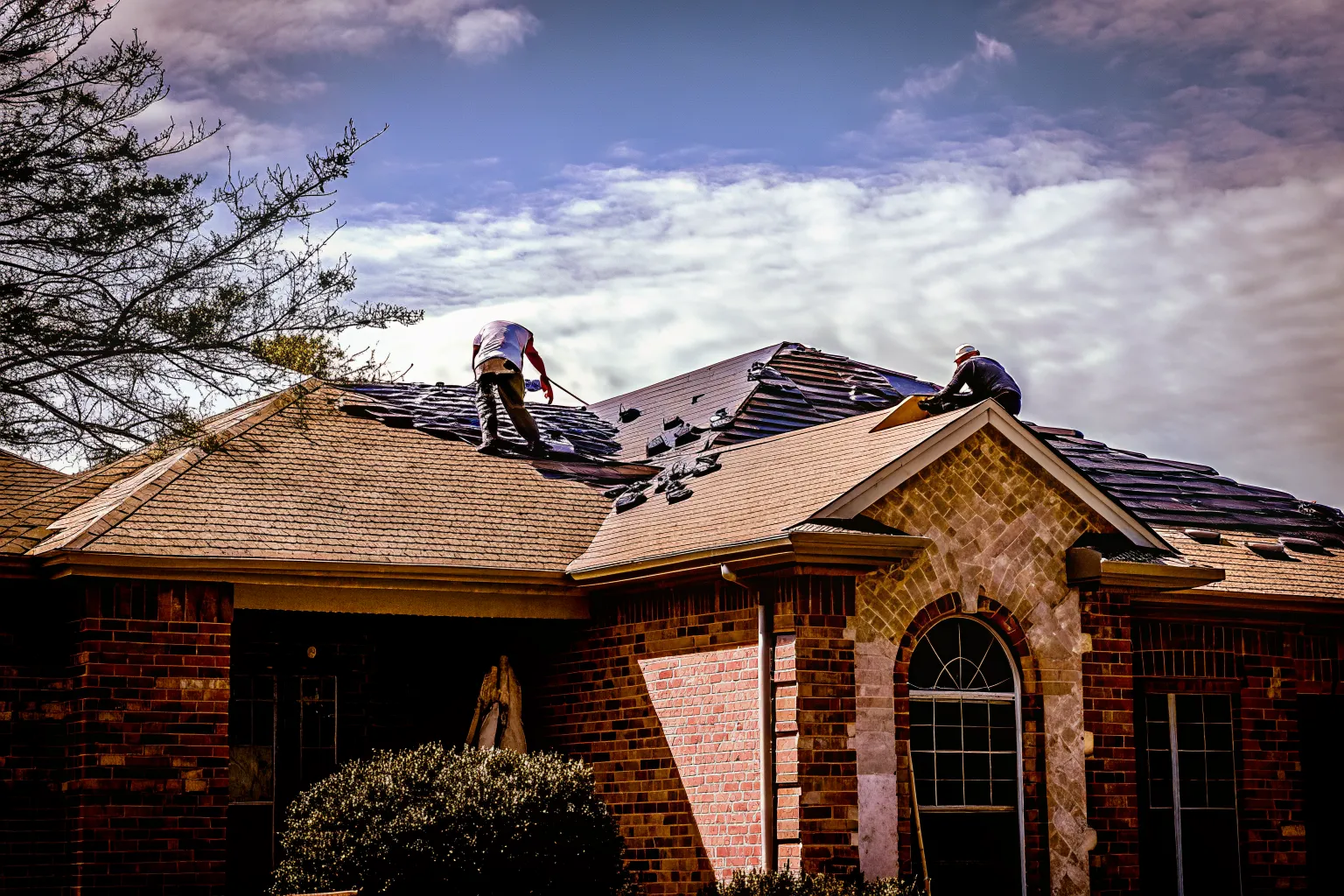 Bluebonnet Roofing